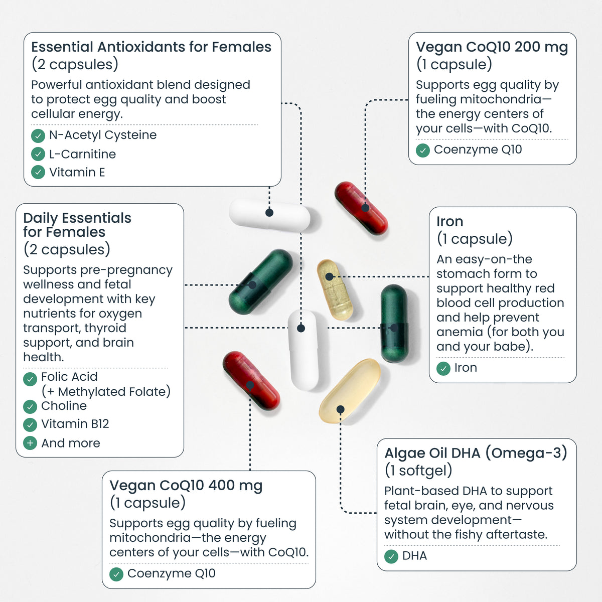 Bird&be Female Fertility Power Prenatal Pack