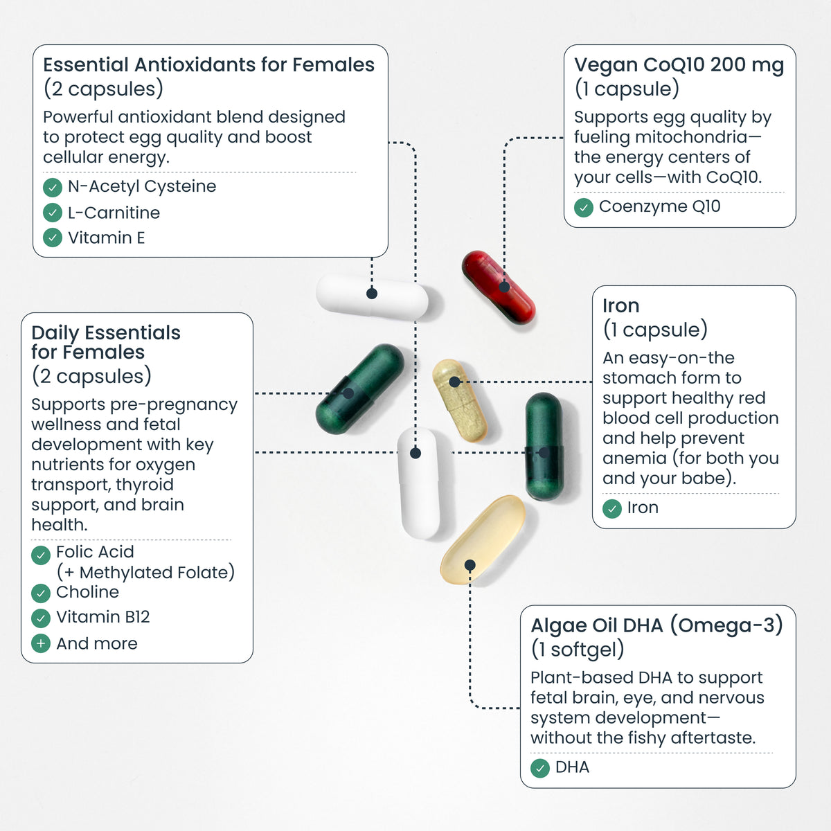 Bird&be Female Fertility Power Prenatal Pack